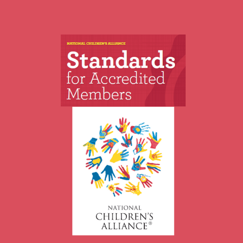 NCA Member Standards 2017