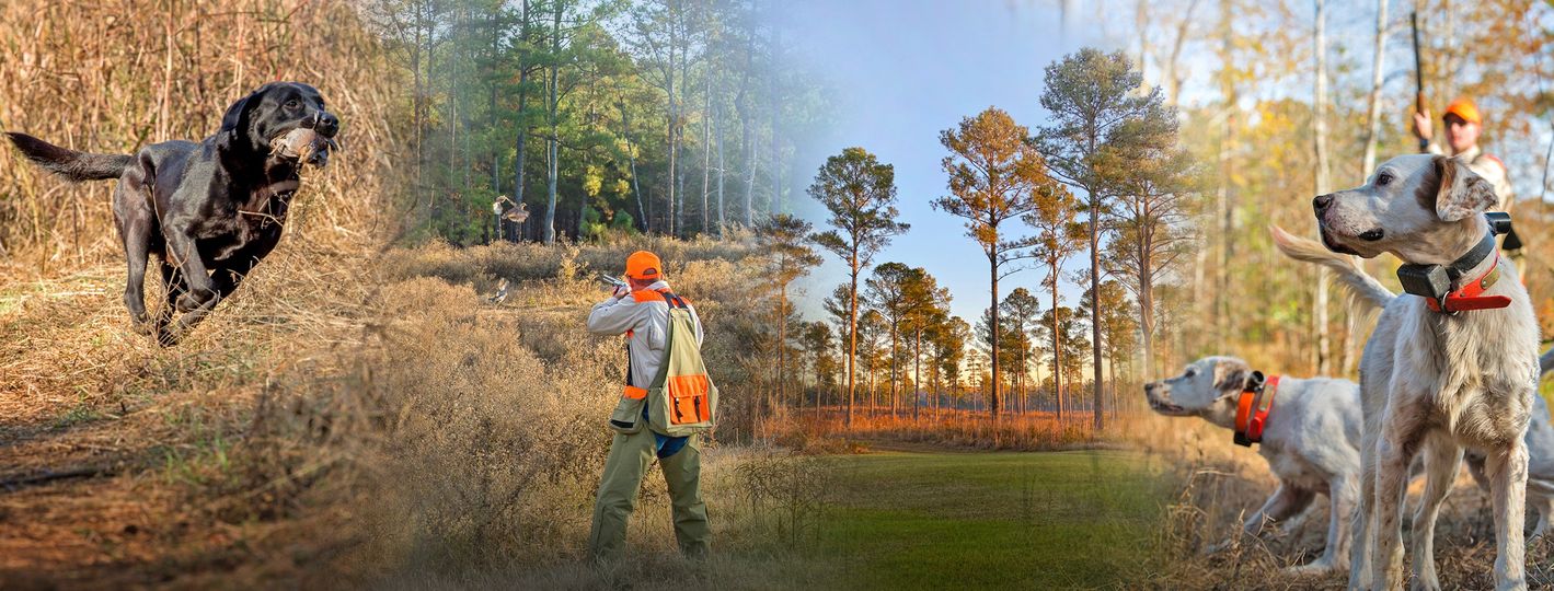 312247697_115824744639433_7839749947079325389_n